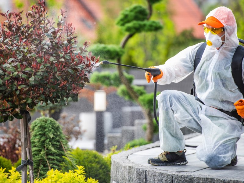 Ilgın Haşere İlaçlama